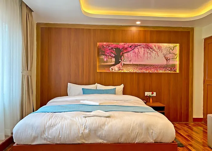 Hotel Himalayan Bts 2*